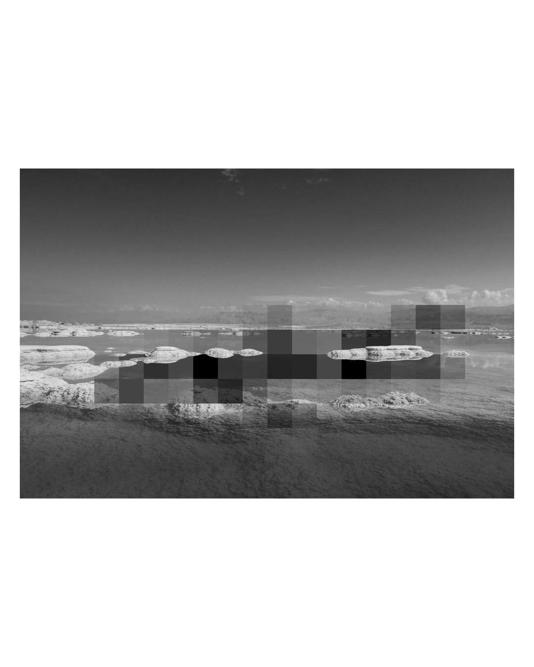 Digital Nature