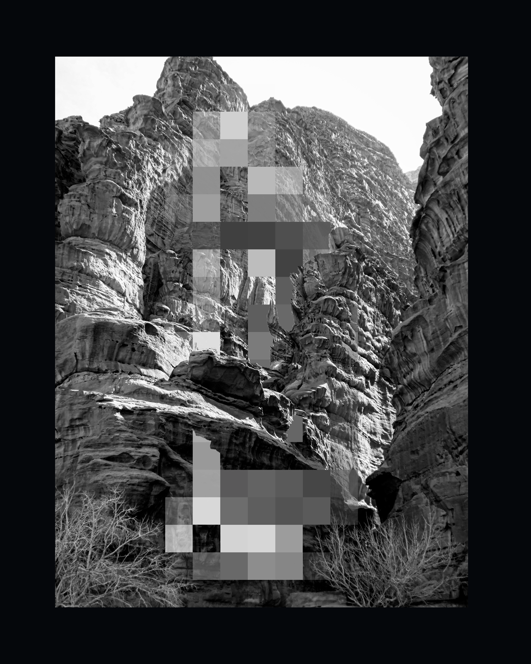 Digital Nature — series III
